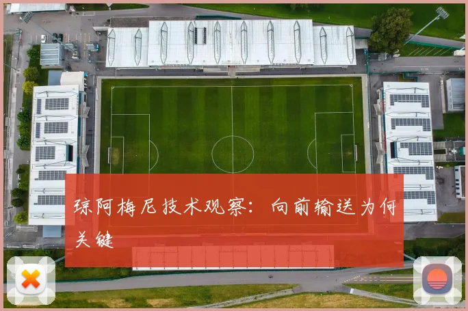 琼阿梅尼技术观察:向前输送为何关键