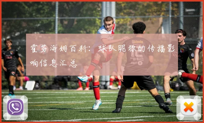 霍芬海姆百科：球队昵称的传播影响信息汇总